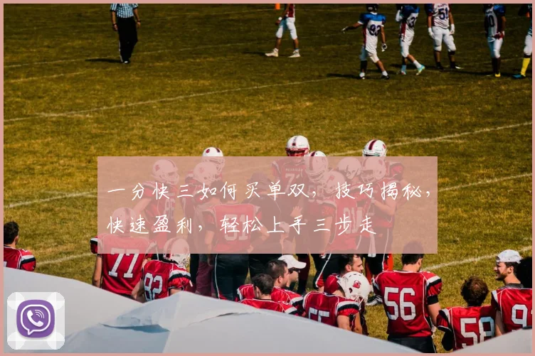 一分快三如何买单双，技巧揭秘，快速盈利，轻松上手三步走